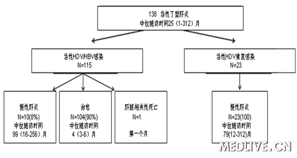 急性和慢性丁型肝炎的临床结局: 一项长期随访