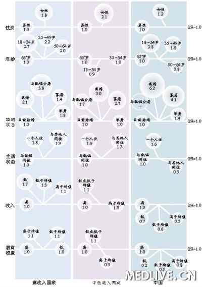 收入证明_世界收入标准划分(2)