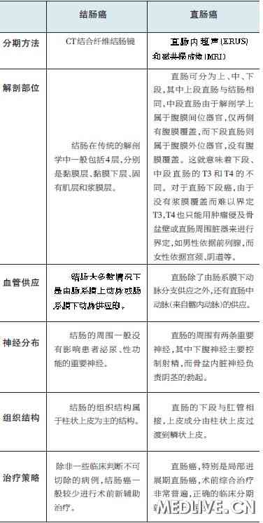 表 结肠癌与直肠癌的分期及治疗策略的比较