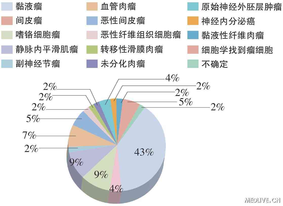 揭开心脏肿瘤的神秘面纱