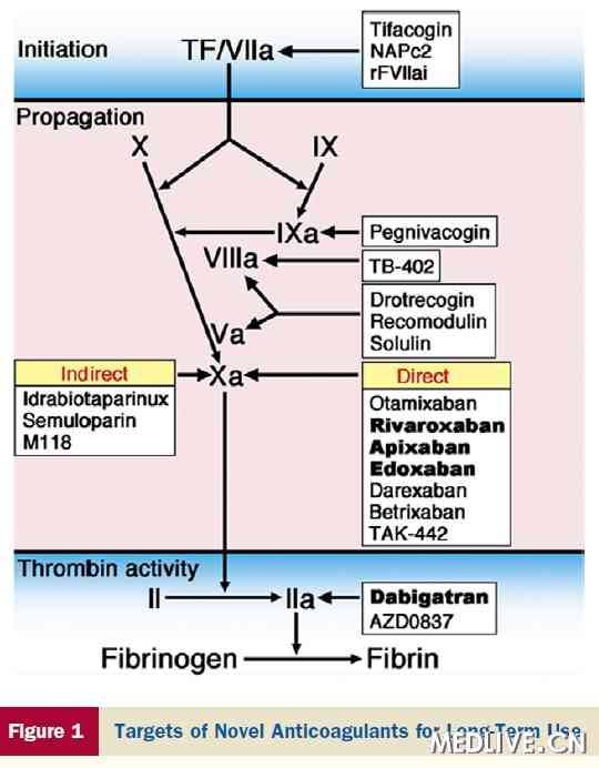ESC房颤新立场声明特别关注新型抗凝剂