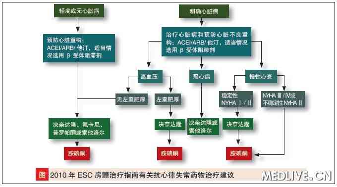 国际专家解读欧美指南谈房颤防治理念