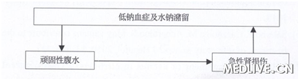 图3低钠血症-顽固性腹水-急性肾损伤之间的关系,王宇明:肝硬化合并低钠血症-顽固性腹水-急性肾损伤的防治新认识低钠血症,顽固性腹水,急性肾损伤,AKI 图3低钠血症-顽固性腹水-急性肾损伤之间的关系,王宇明:肝硬化合并低钠血症-顽固性腹水-急性肾损伤的防治新认识低钠血症,顽固性腹水,急性肾损伤,AKI