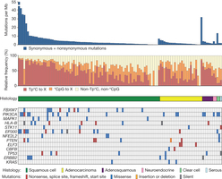 【Nature】剖析宫颈癌基因谱