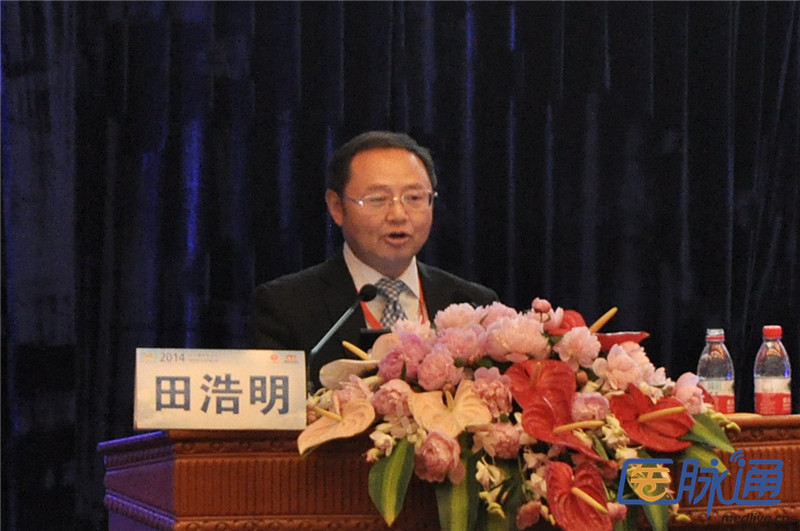 [PUDF2014]田浩明:格列奈类药物在2型糖尿病