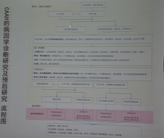 [CSC2014]樊东升:淀粉样血管病脑出血研究