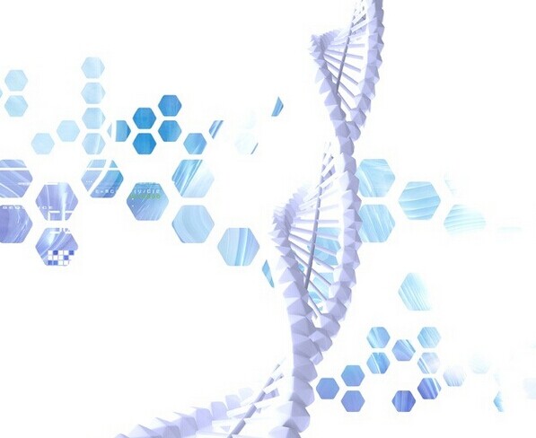 基因芯片发现帕金森症相关的新基因