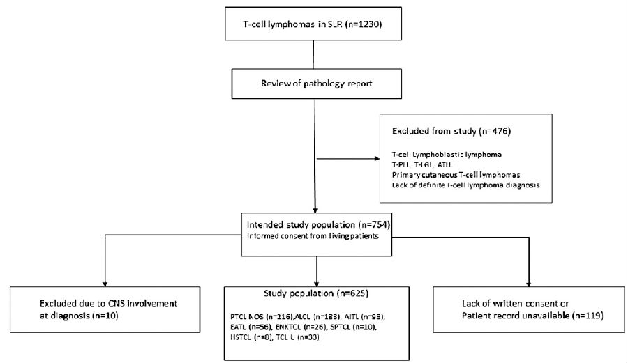 外周T细胞淋巴瘤的CNS复发预后