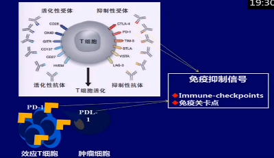 梁军:POST-ASCO mCRC靶向治疗研究新进展