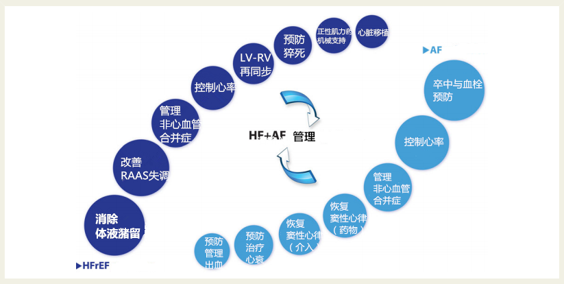 心衰合并房颤:我们该怎么办?(上)