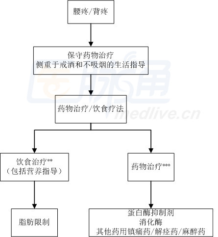 JSGE临床实践指南:慢性胰腺炎(治疗和预后)