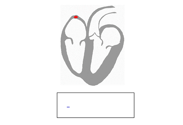 645_439 gif 动态图 动图