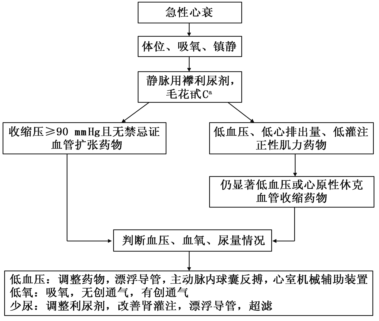 [occ2016]张健:中欧急性心力衰竭指南解读和比较
