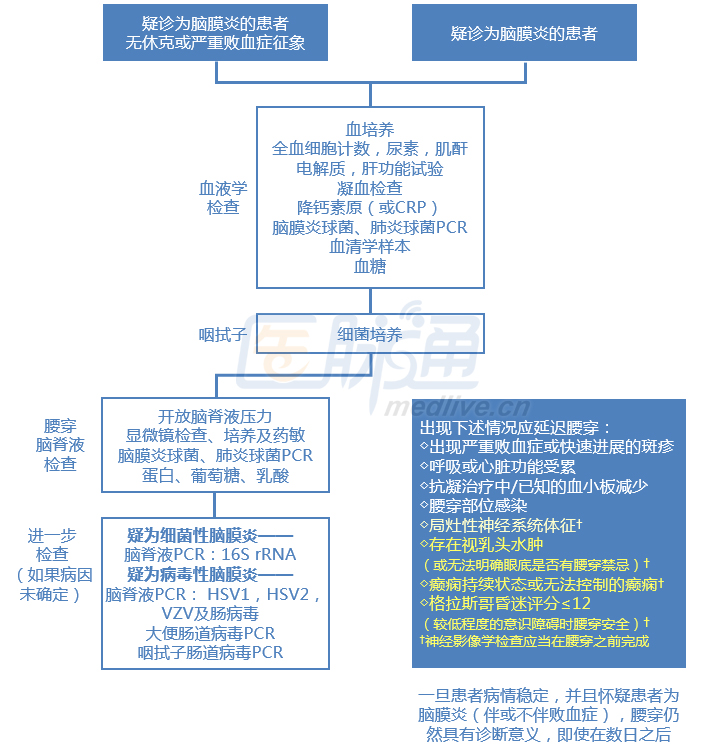 指南流程图:怀疑急性脑膜炎,应当如何处理?