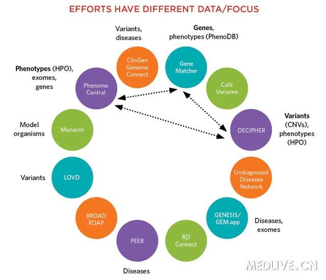 三大绝招帮你从外显子组中找到疾病基因突变