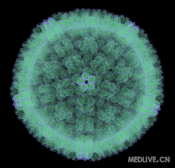 eb病感染|eb病毒感染是什么