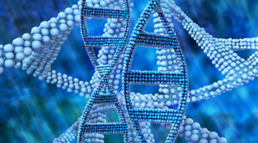 卢煜明教授PNAS发布第二代无创胎儿基因组分