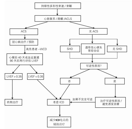 常见室性心律失常的诊治流程和建议
