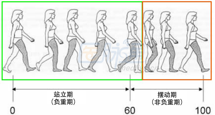 图表 视频,从头到脚详解步态障碍