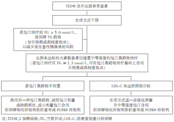 糖尿病合并血脂异常:20条推荐意见