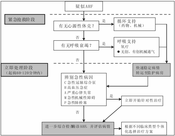 中国急性心力衰竭急诊临床实践指南(2017)发布