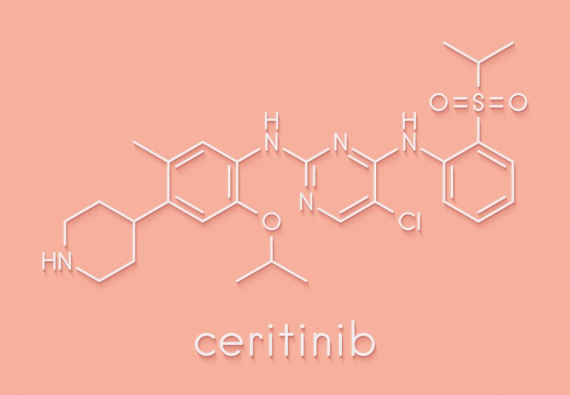 重磅盘点|2017年肺癌圈发生了什么大事儿?