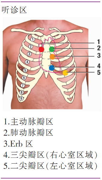 偷偷告诉你几个提高心音听诊技能的有效方法|临床基本功