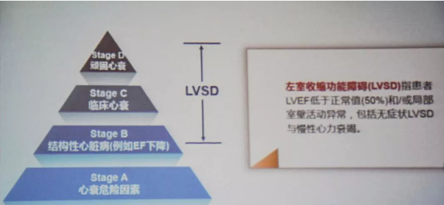 杨艳敏教授:干预心力衰竭从左心室收缩功能障
