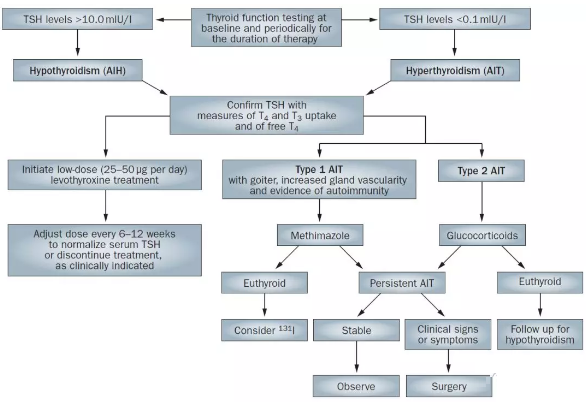造影剂、胺碘酮与甲状腺那碘事儿