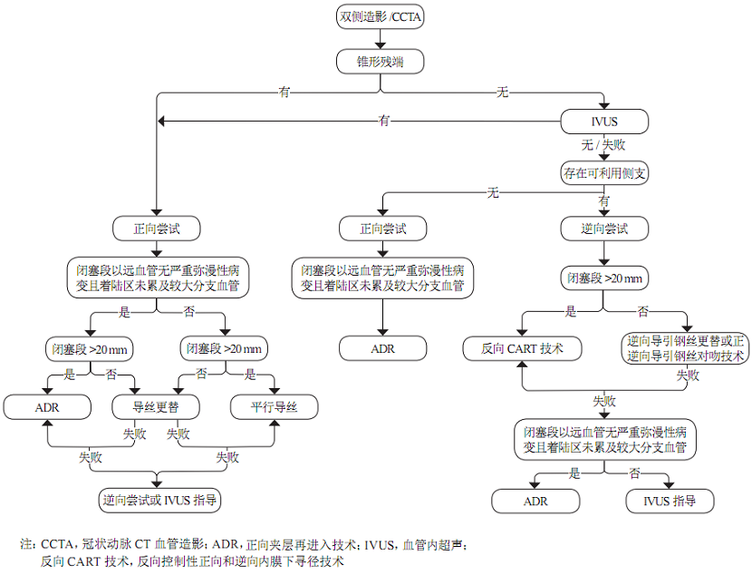 CTO介入治疗推荐路径来了,这张图得人手一份