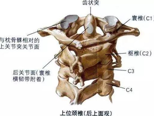 一场感冒,4岁男孩颈椎居然脱位了…