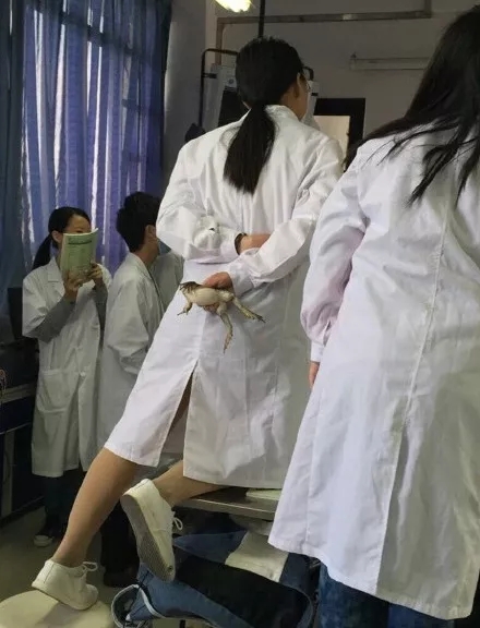 劝人学医,天打雷劈 滚!