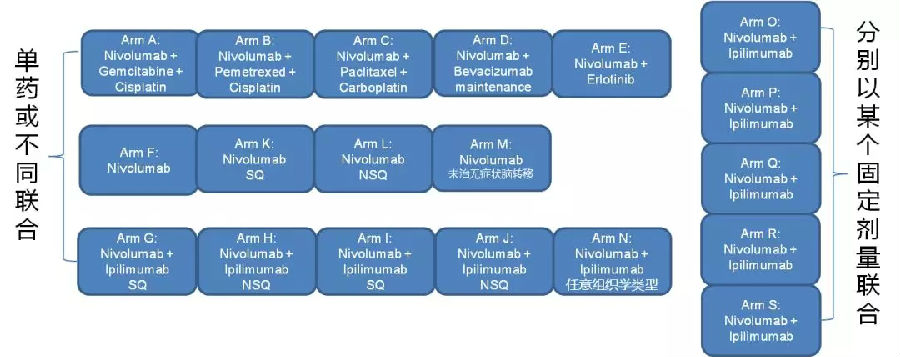 专家视角丨王哲海教授:免疫联合治疗--肿瘤治疗