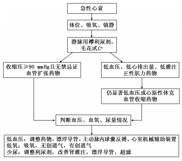 白玲教授:急性心衰的药物治疗,这样用药才合理