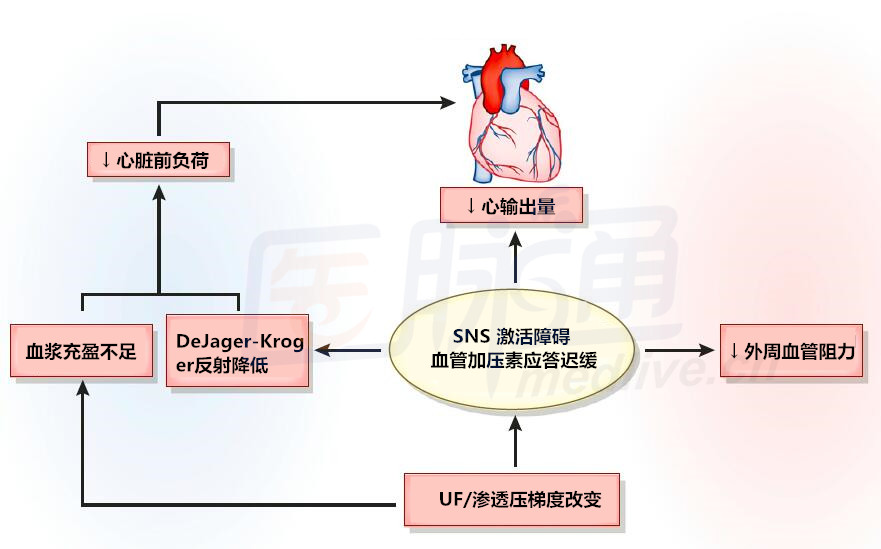 血液透析患者如何防治低血压?