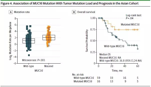 有这个基因突变的患者总生存期更长!替代版TM