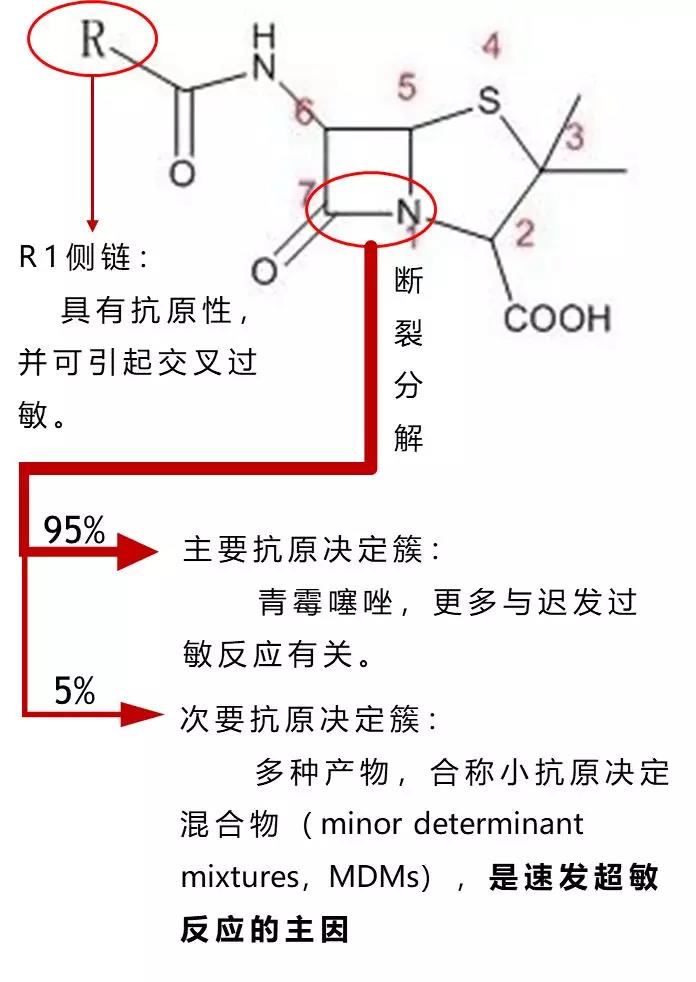 青霉素与头孢:皮试要不要?