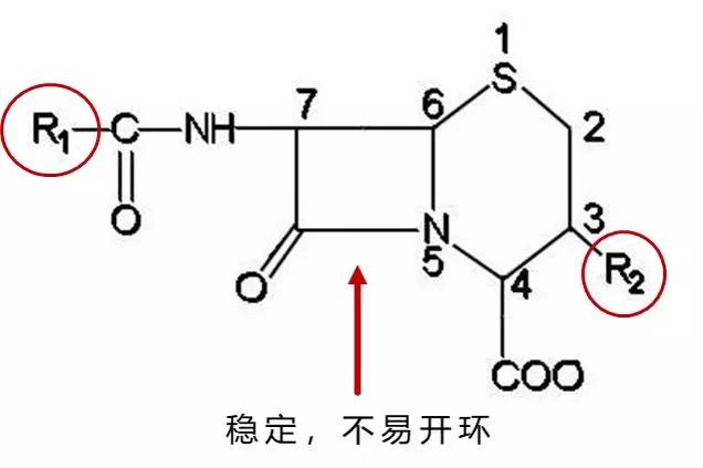 青霉素与头孢:皮试要不要?