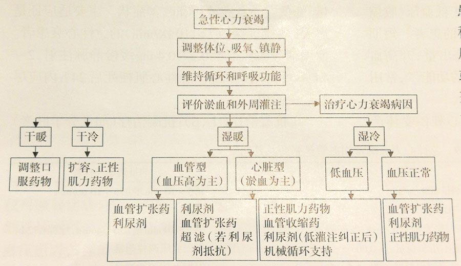 《2018中国心力衰竭诊断和治疗指南》正式发
