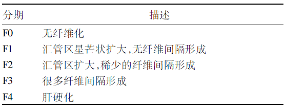 慢性肝炎病理学分级分期评分系统比较