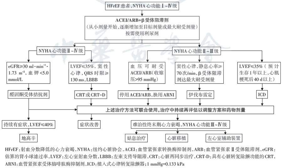 老年慢性心衰的药物治疗:最新综述与指南推荐