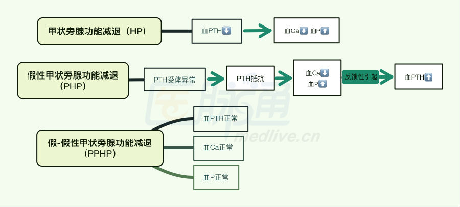 甲状旁腺功能减退症诊疗,这么讲你肯定能明白