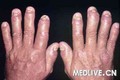 uploadfile/2011/1221/20111221035604724.jpg