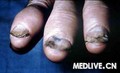 uploadfile/2011/1221/20111221035604875.jpg