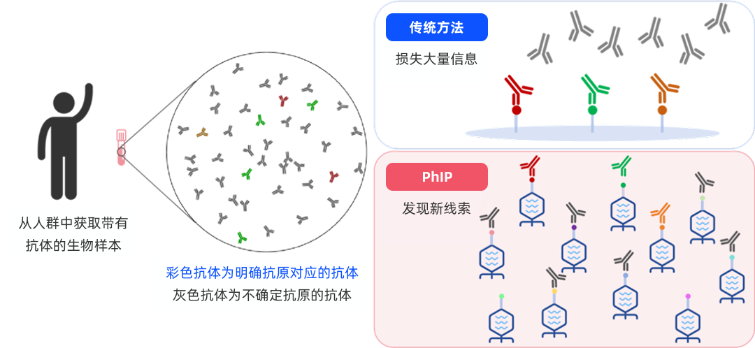 噬菌体免疫沉淀测序（PhIP-seq）抗体组学技术相较于传统抗体检测方法的优势